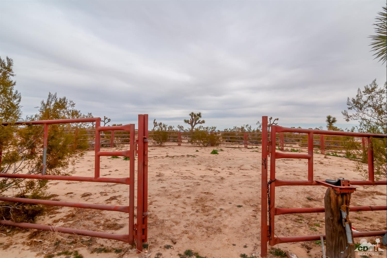 3290 Julcrest Road Yucca Valley, CA 92284 - Photo 14 of 20 a view of a ocean with large trees