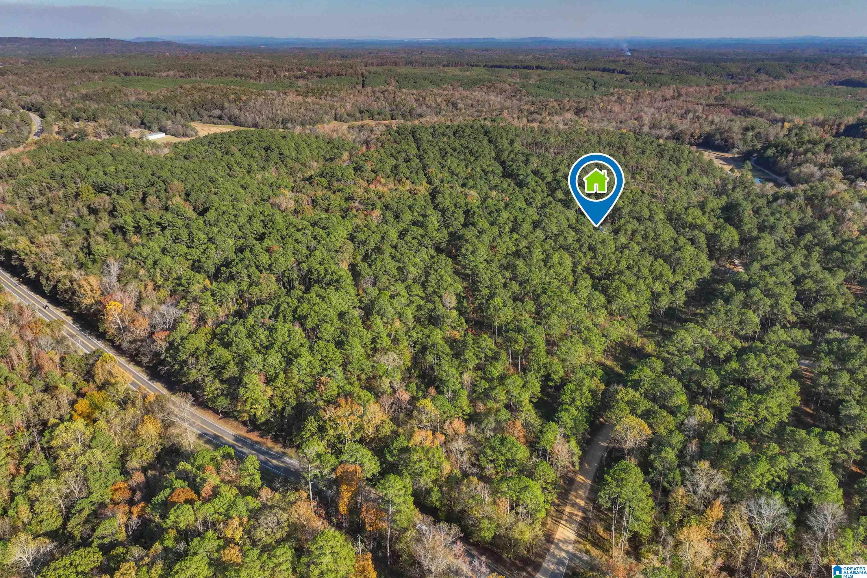 203 Gould Road Columbiana, AL 35051 - Photo 51 of 56