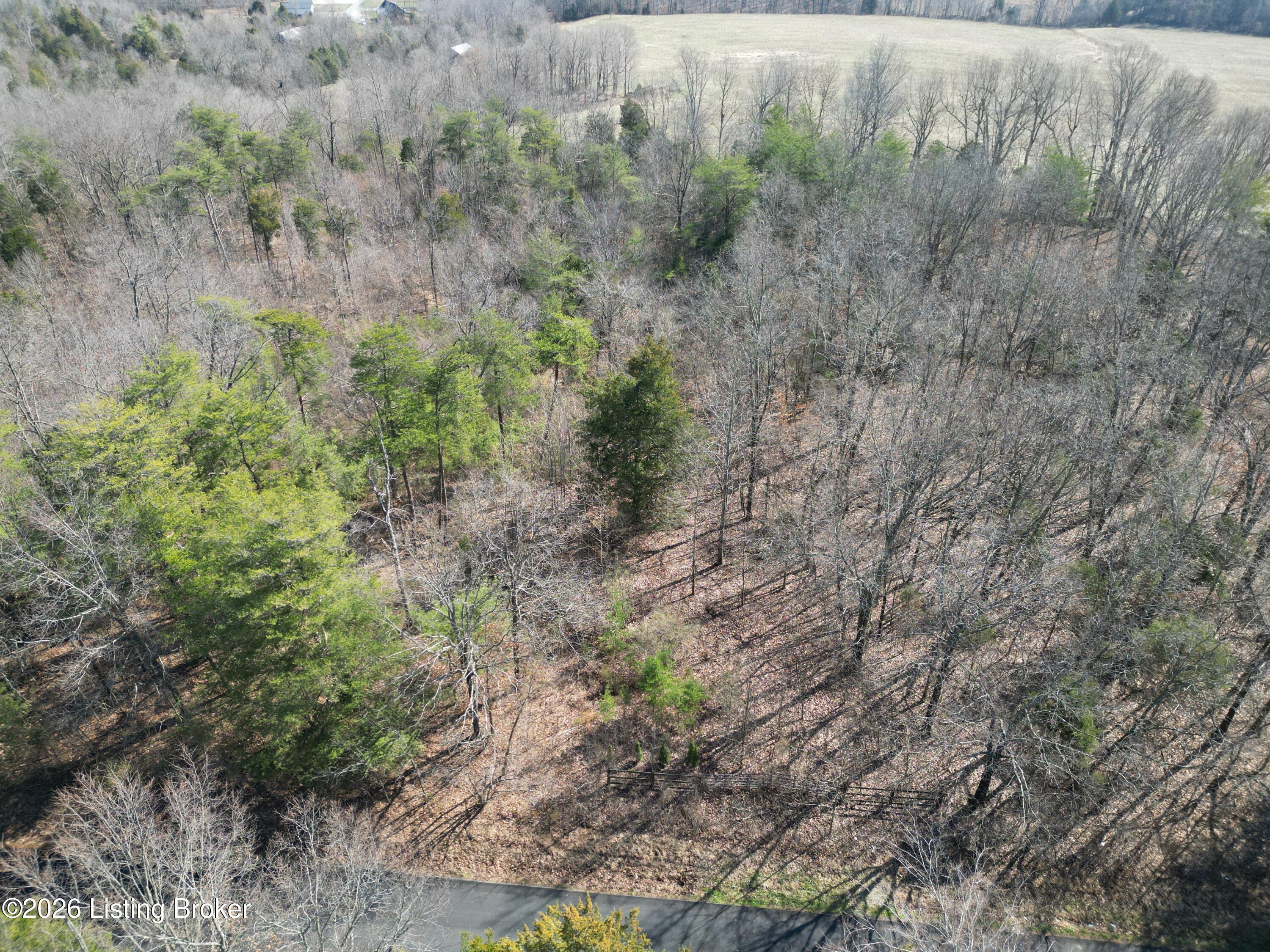 Lot 3 Shores Rd Falls Falls Of Rough, KY 40119 - Photo 7 of 15 3d