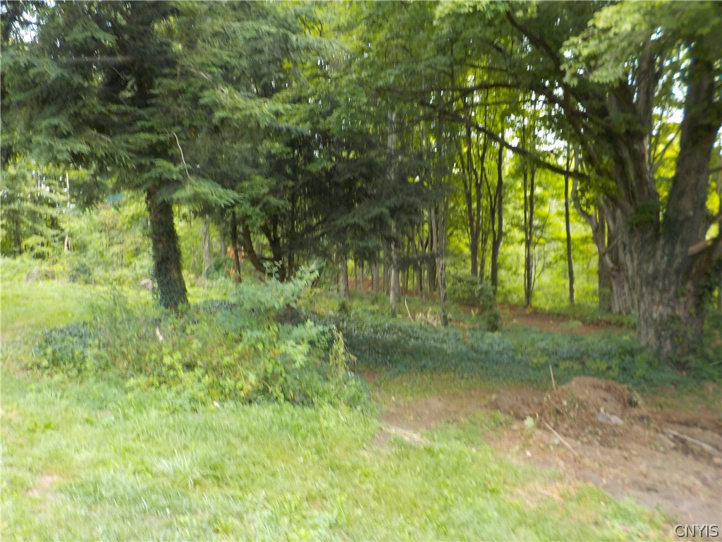 292-294 Perry Road Schroeppel, NY 13132 - Photo 12 of 30 Gallery Image 12