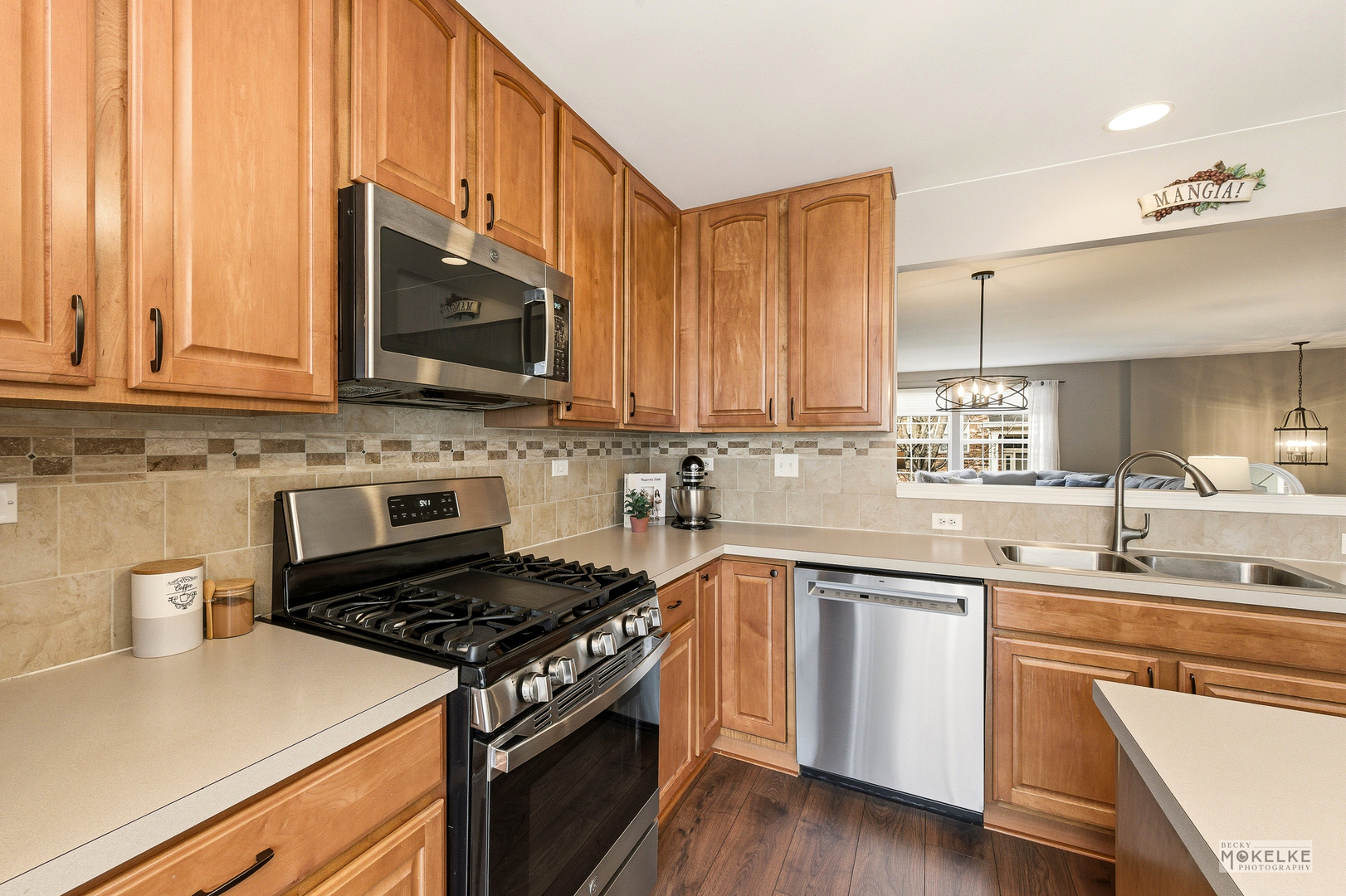 2419 Emily Lane Elgin, IL 60124 - Photo 9 of 25