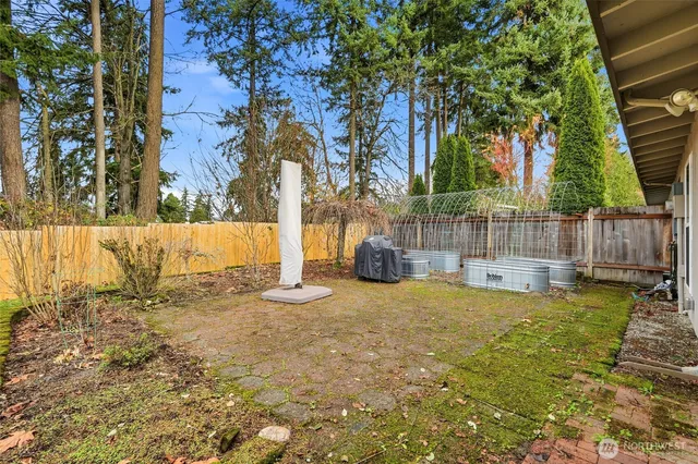 a view of backyard with wooden fence and a large tree