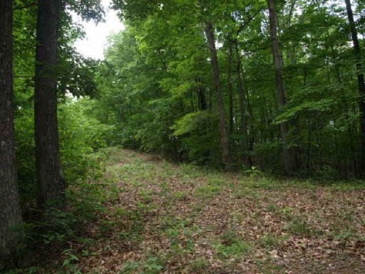 21.75 Wes Dailey Road Celina, TN 38551 - Photo 14 of 32 Additional Photo