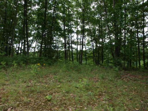 21.75 Wes Dailey Road Celina, TN 38551 - Photo 3 of 32 Additional Photo