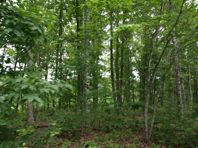21.75 Wes Dailey Road Celina, TN 38551 - Photo 22 of 32 08