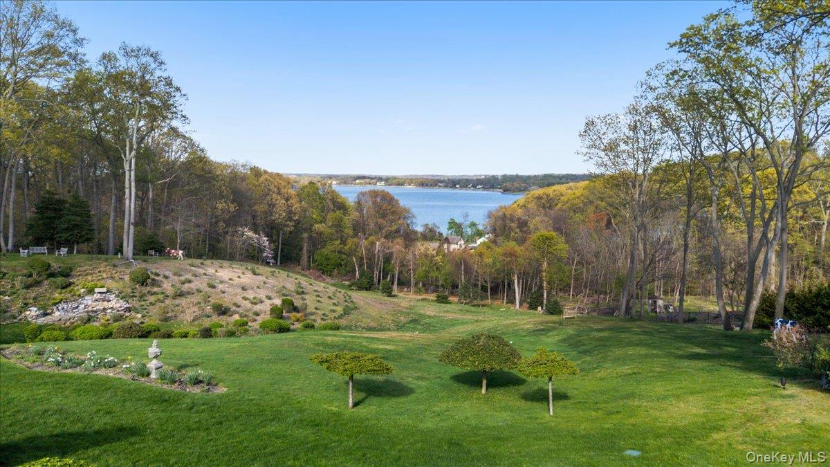 233 Cleft Road Mill Neck, NY 11765 - Photo 4 of 50