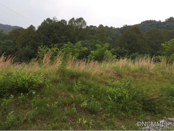 231 Bee Ridge Road, Unit 1 Asheville, NC 28803 - Photo 1 of 2 Gallery Image 1