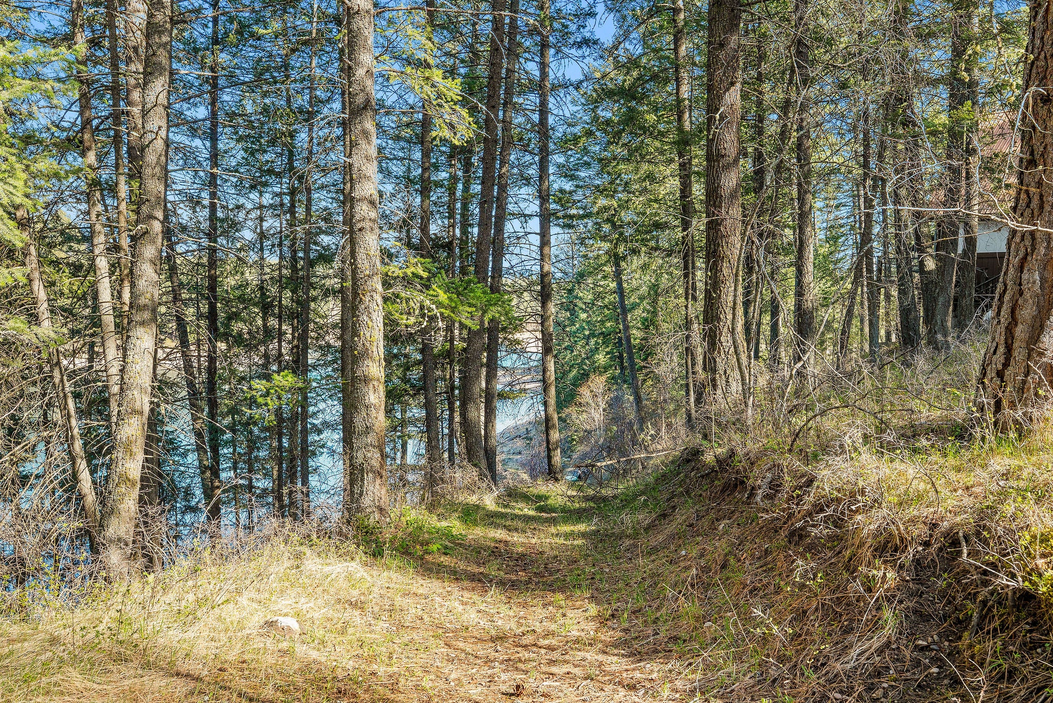 701 McCaffery Road Bigfork, MT 59911 - Photo 55 of 65 Gallery Image 55