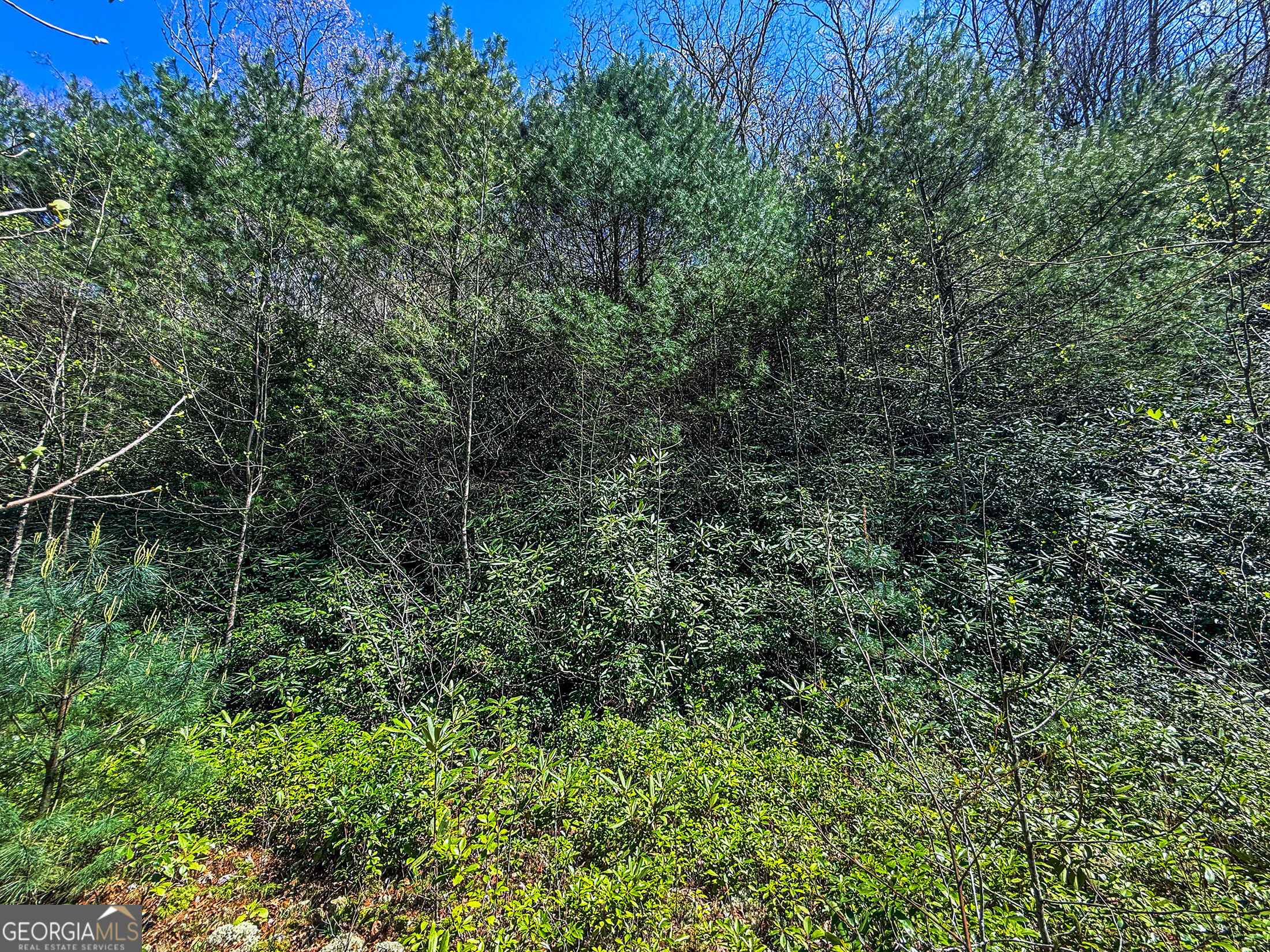 5 Outback Lane Rabun Gap, GA 30568 - Photo 2 of 7 Gallery Image 2