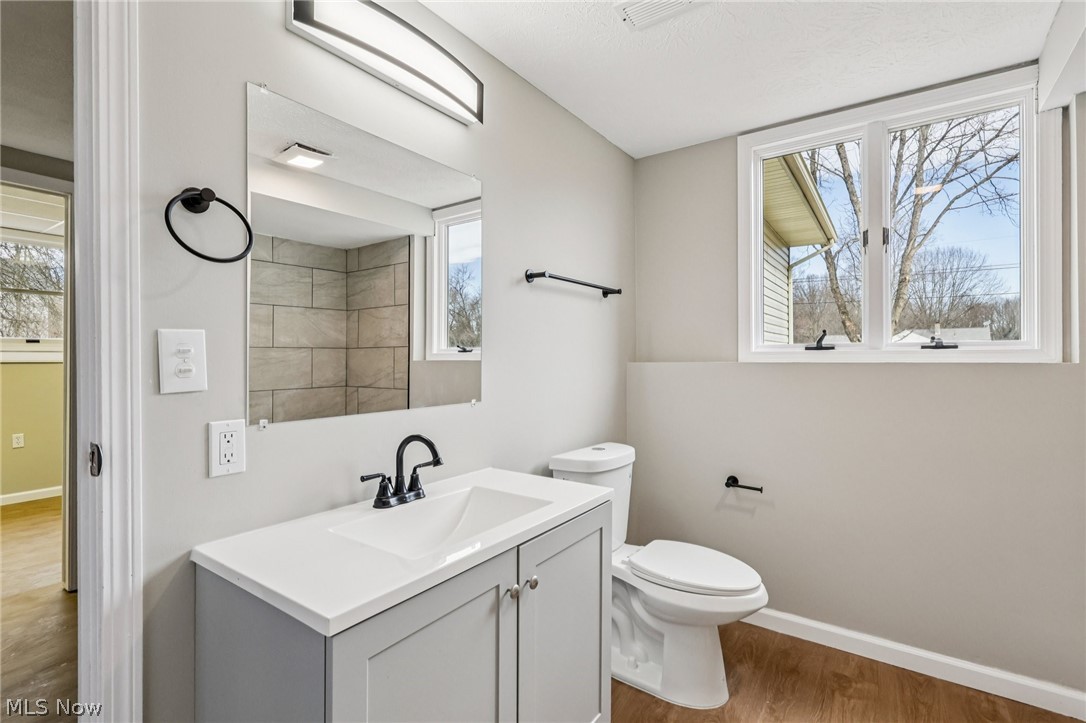 2829 Tibbetts Wick Road Hubbard, OH 44425 - Photo 26 of 44 Bathroom with vanity and light wood-style floors