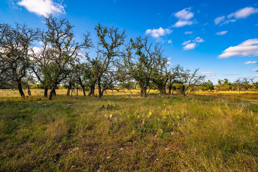 Lot 38 Reservation Road, Unit 38 Harper, TX 78631 - Photo 3 of 5 Gallery Image 3