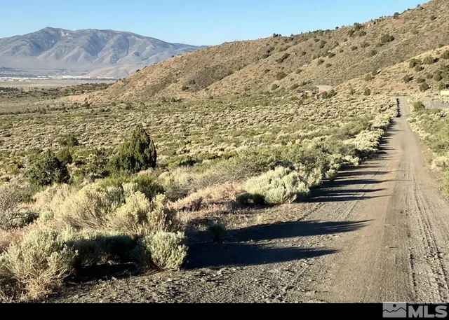 a view of a sky from a yard