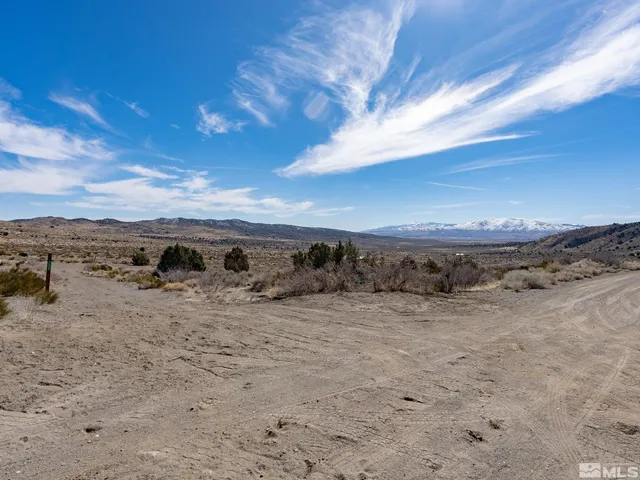 a view of a dry yard with an ocean