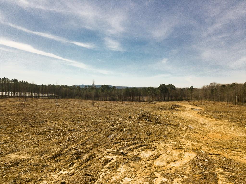 0 Cook Road Northwest Calhoun, GA 30701 - Photo 1 of 1