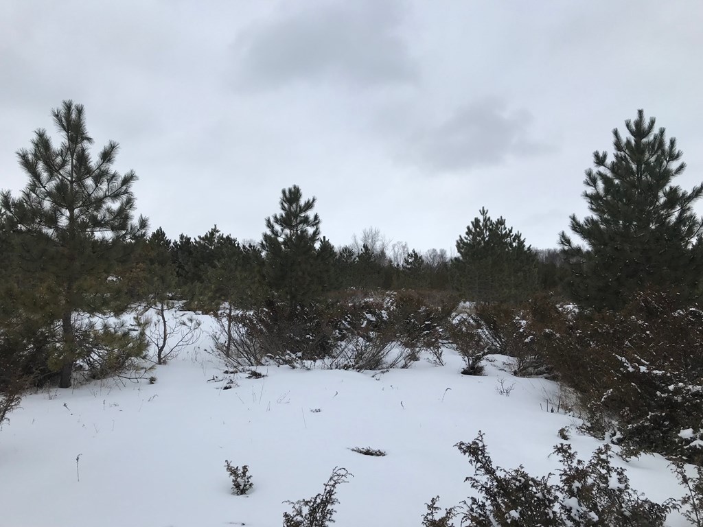 West Meadow Road Baileys Harbor, WI 54202 - Photo 8 of 11