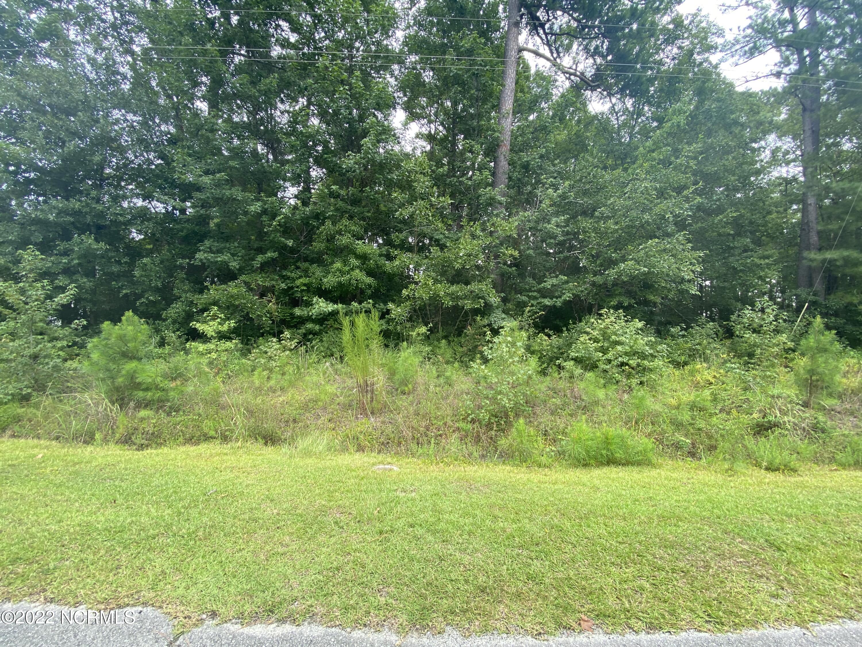 548 Boundary Loop Road Northwest Calabash, NC 28467 - Photo 2 of 13 548 Boundary Loop 2