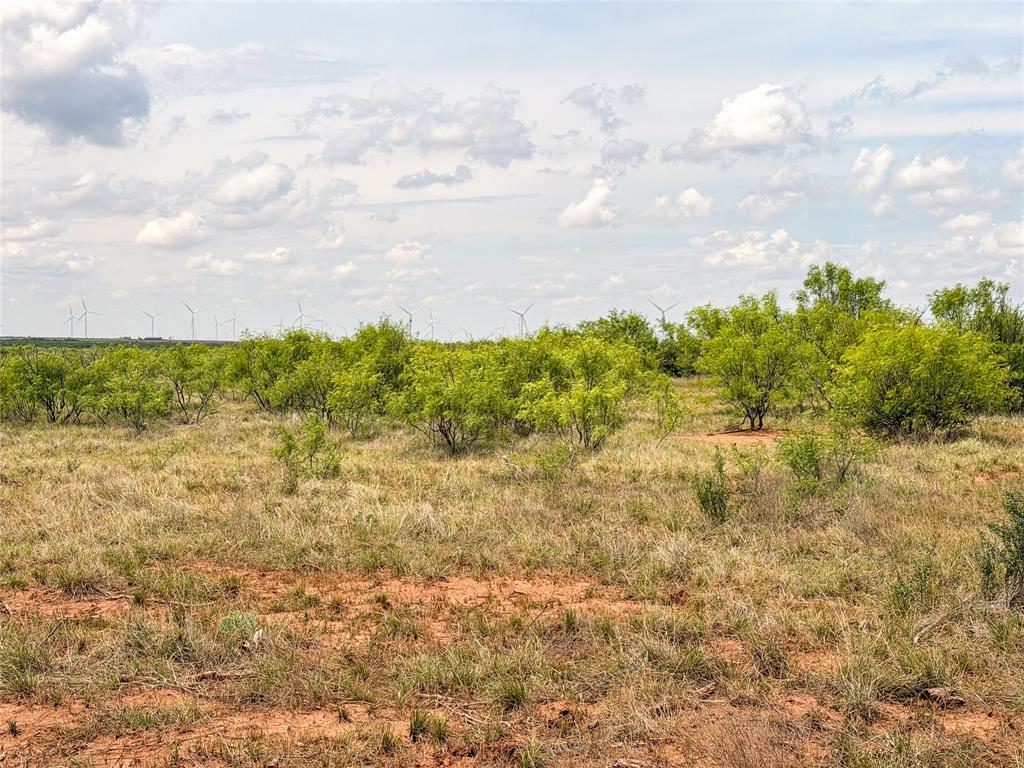 235 227 Haskell Tx 79521 Haskell, TX 79521 - Photo 9 of 40 a view of a bunch of trees and houses