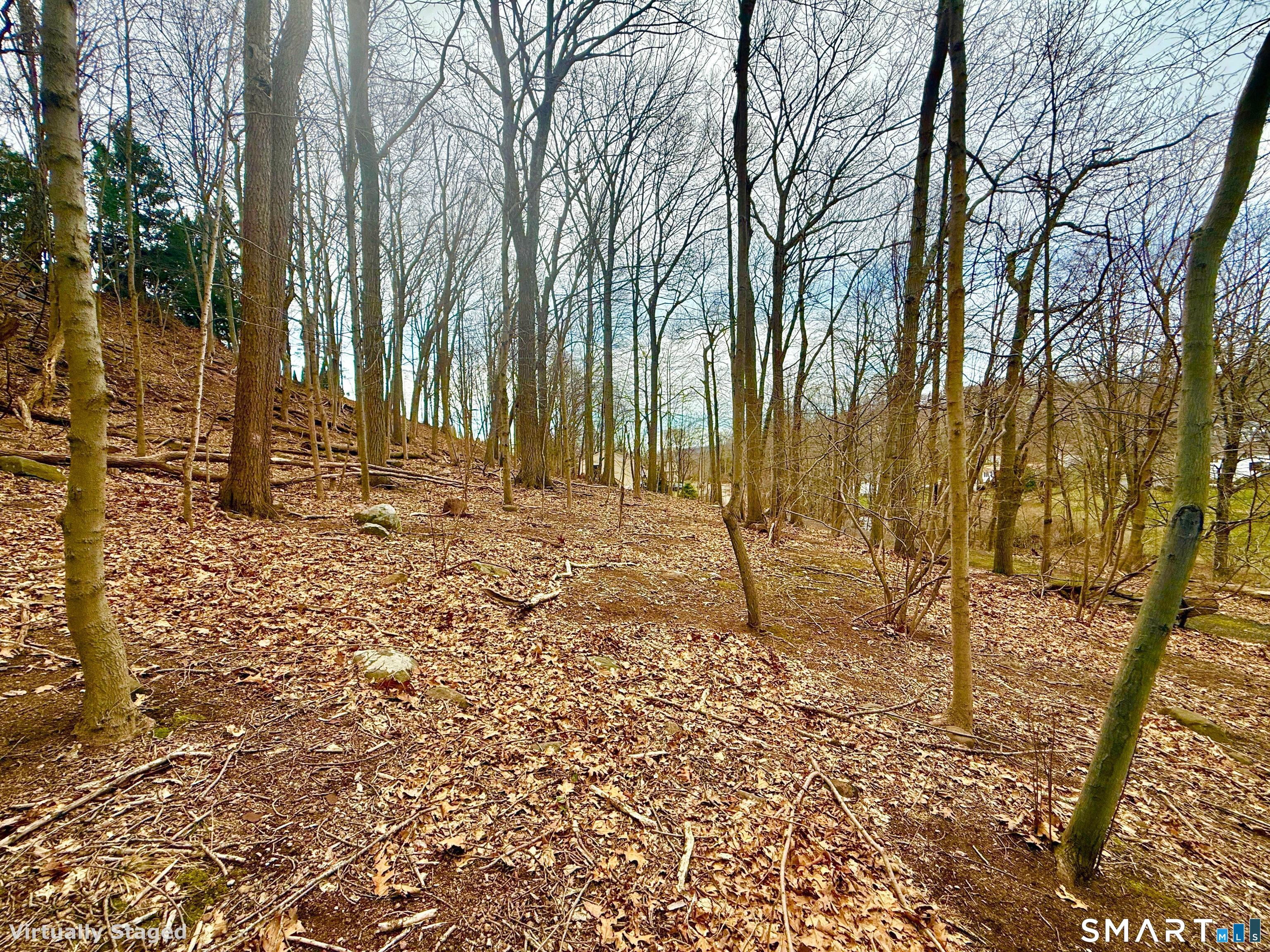 71 Dunbar Hill Road Hamden, CT 06514 - Photo 1 of 15 a view of a backyard of the house
