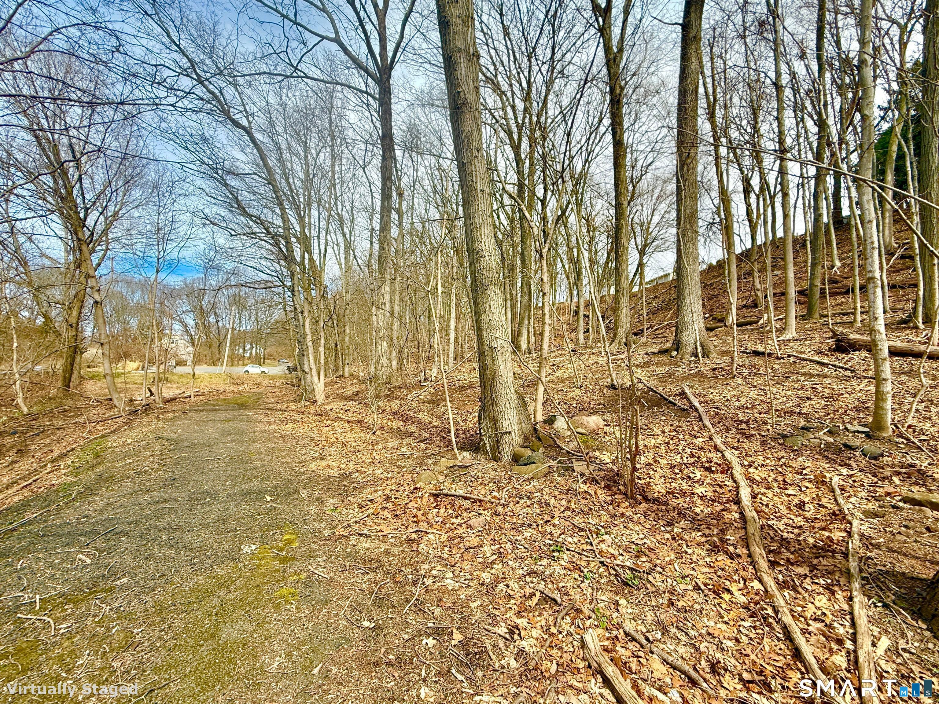 71 Dunbar Hill Road Hamden, CT 06514 - Photo 3 of 15 a view of yard covered with trees