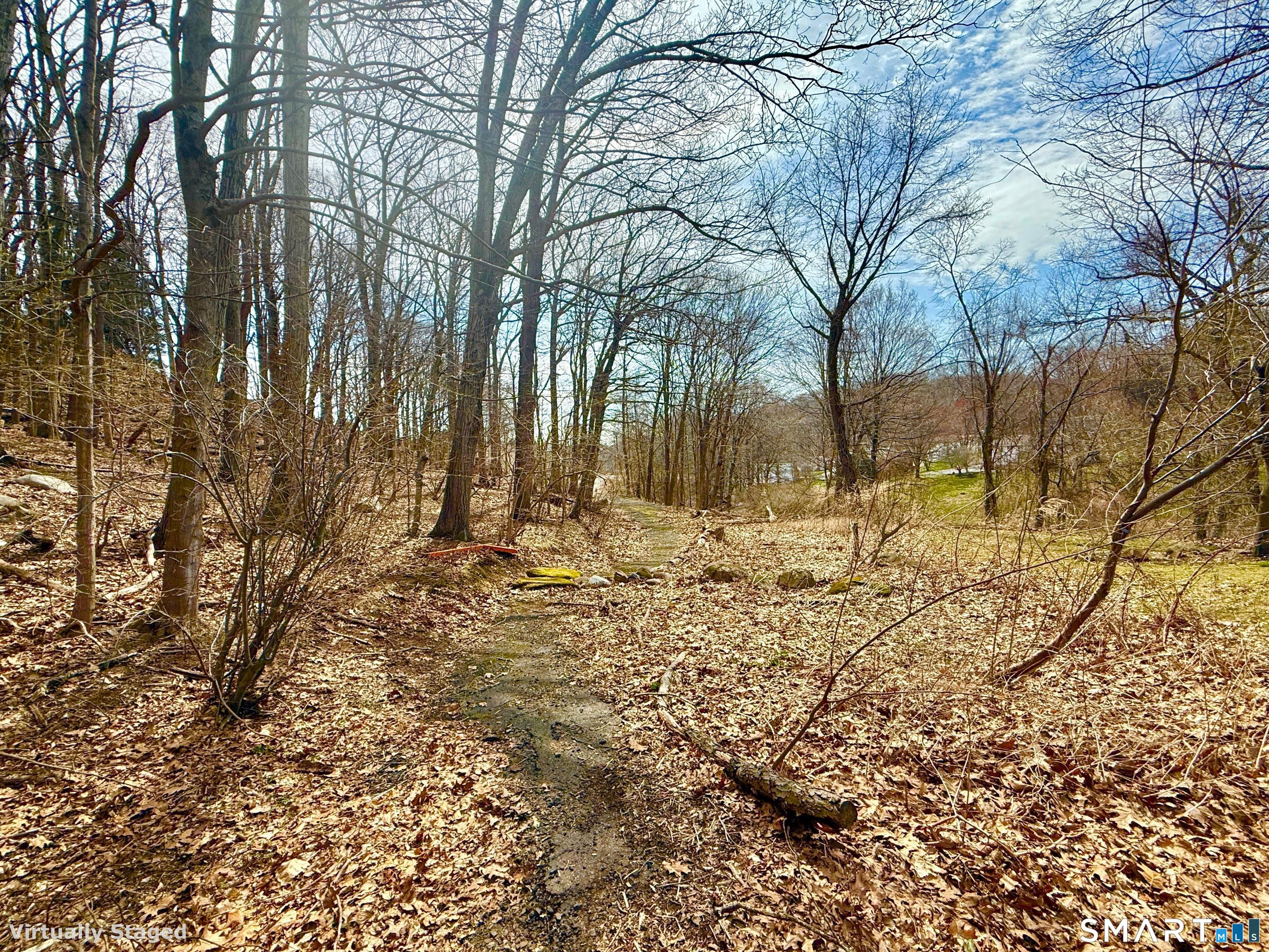 71 Dunbar Hill Road Hamden, CT 06514 - Photo 5 of 15