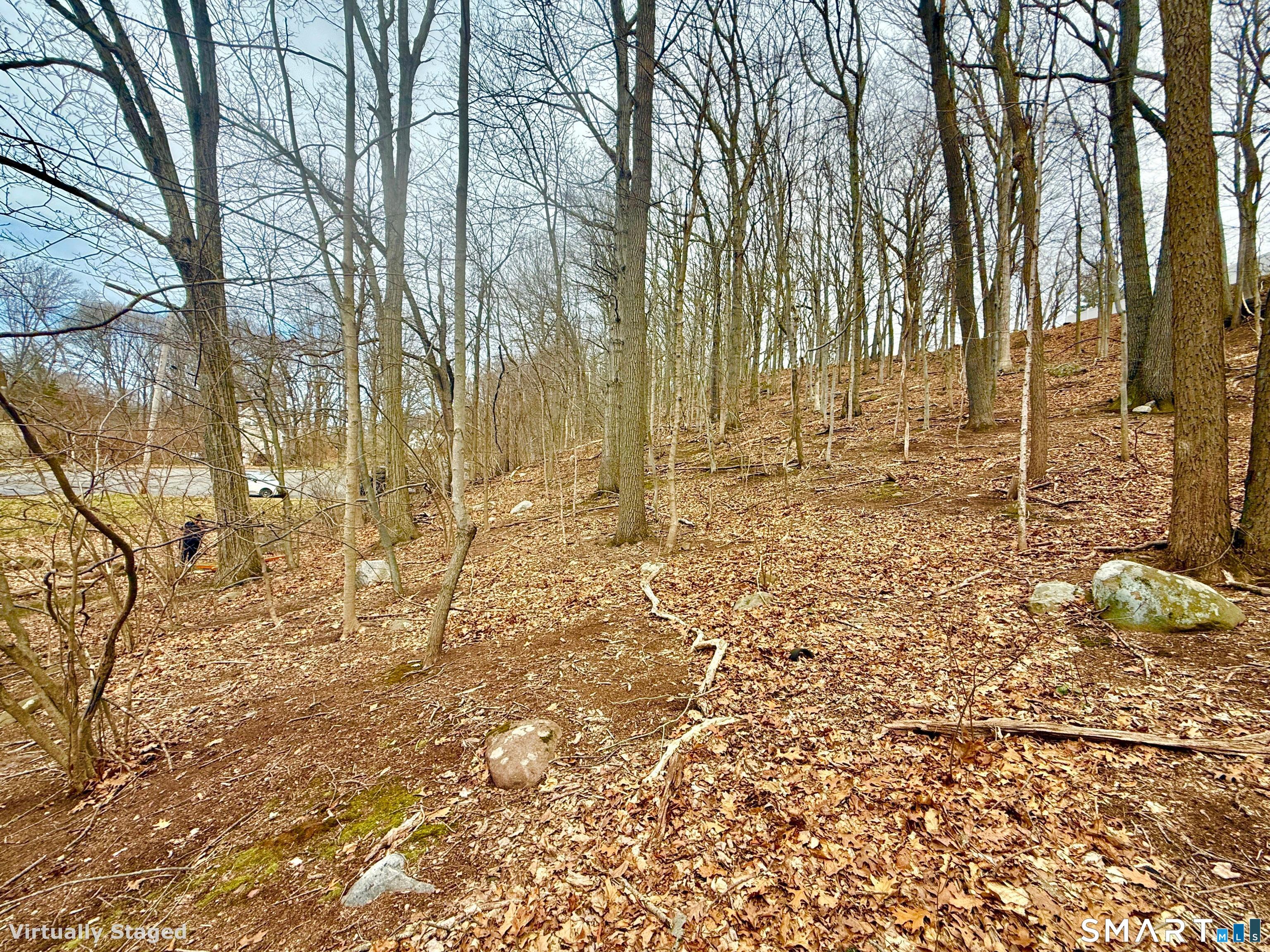 71 Dunbar Hill Road Hamden, CT 06514 - Photo 9 of 15 a view of a backyard of the house