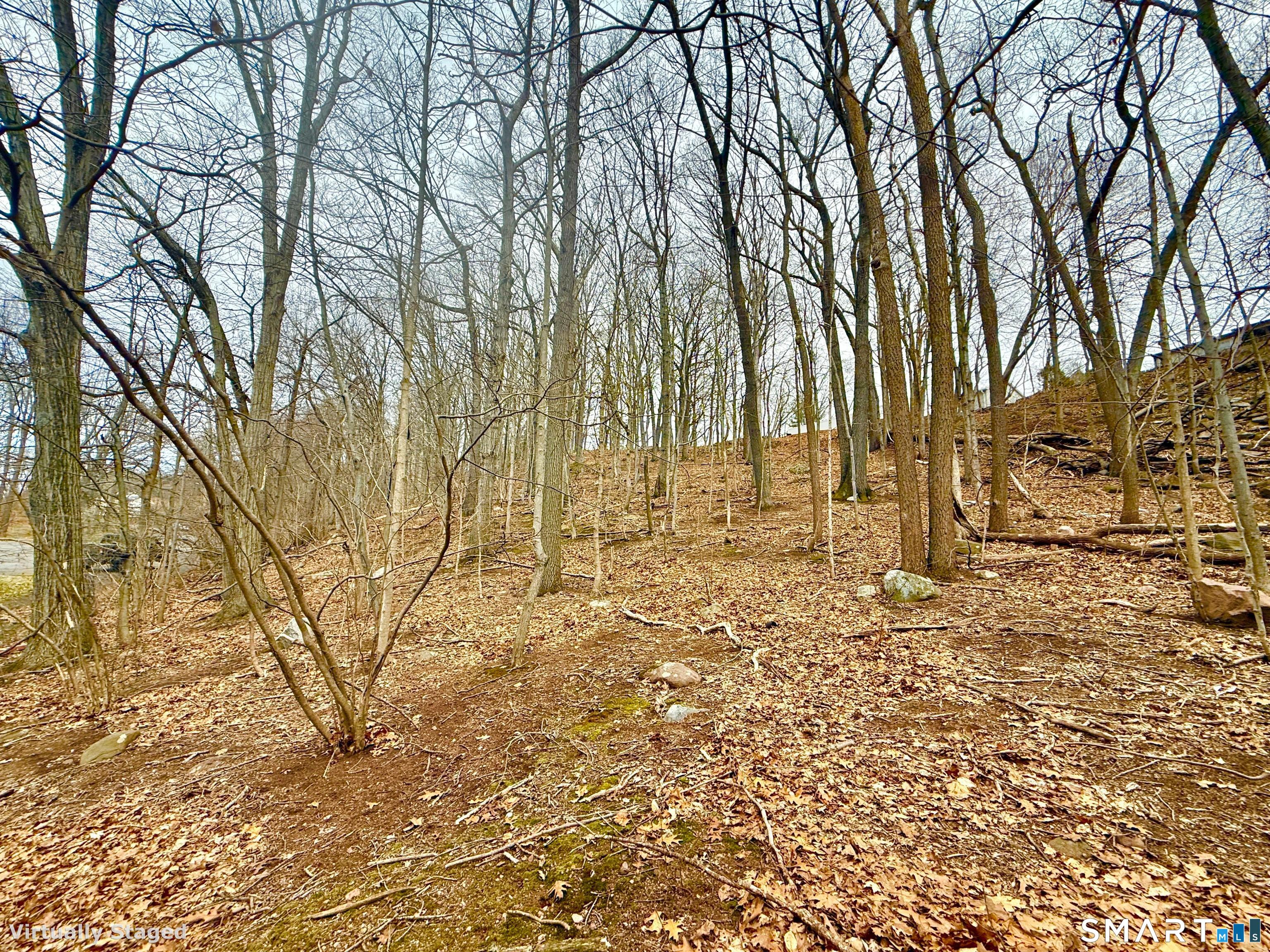71 Dunbar Hill Road Hamden, CT 06514 - Photo 10 of 15 a view of empty space with large trees