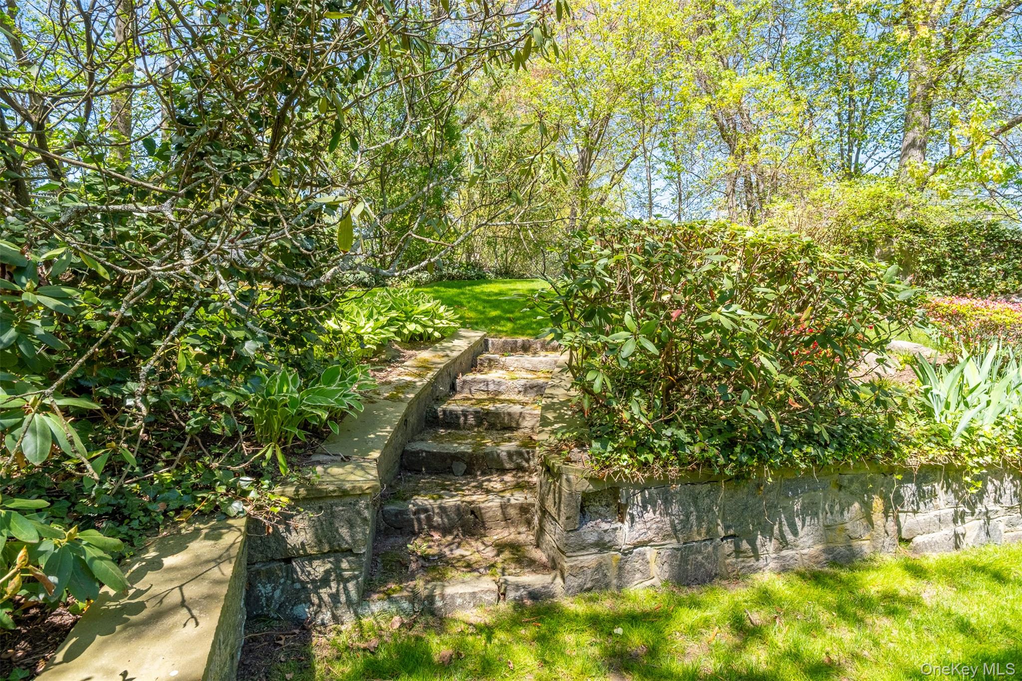 24 Sheldrake Place New Rochelle, NY 10804 - Photo 20 of 26 Terraced backyard