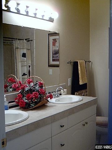 2420 Grizzley Road Reno, NV 89521 - Photo 6 of 9 a bathroom with a sink and a mirror