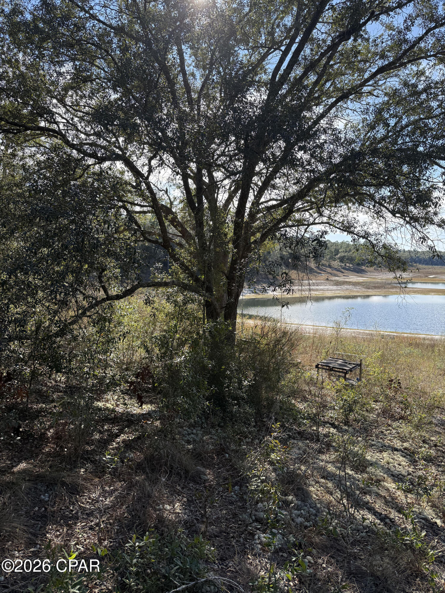 Lot 21 Grassy Pond Road Chipley, FL 32428 - Photo 6 of 14