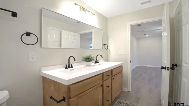 a bathroom with a sink and a mirror