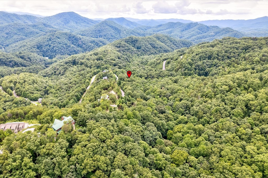 64 Redtail Road Sevierville, TN 37862 - Photo 20 of 29 Gallery Image 20