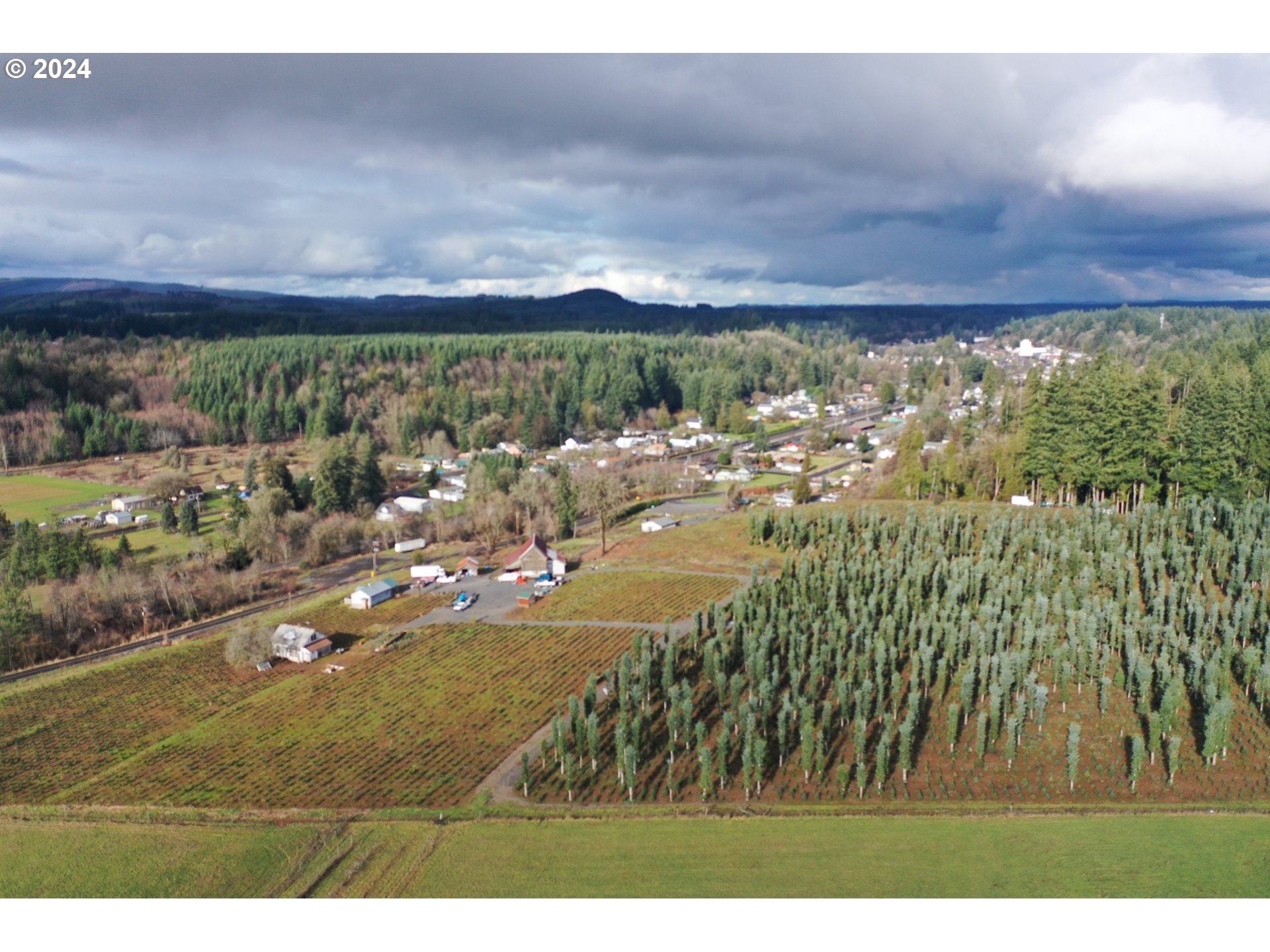 157 Nikula Road Winlock, WA 98596 - Photo 18 of 20 a view of a city