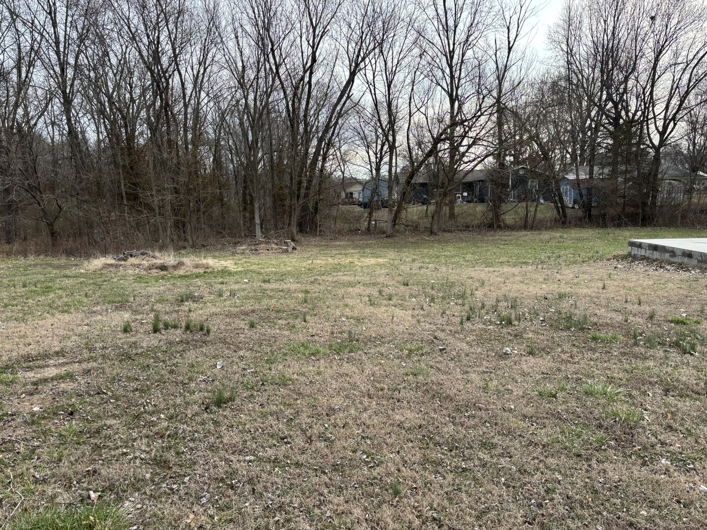 1000 South Wilson Street Benton, IL 62812 - Photo 4 of 8