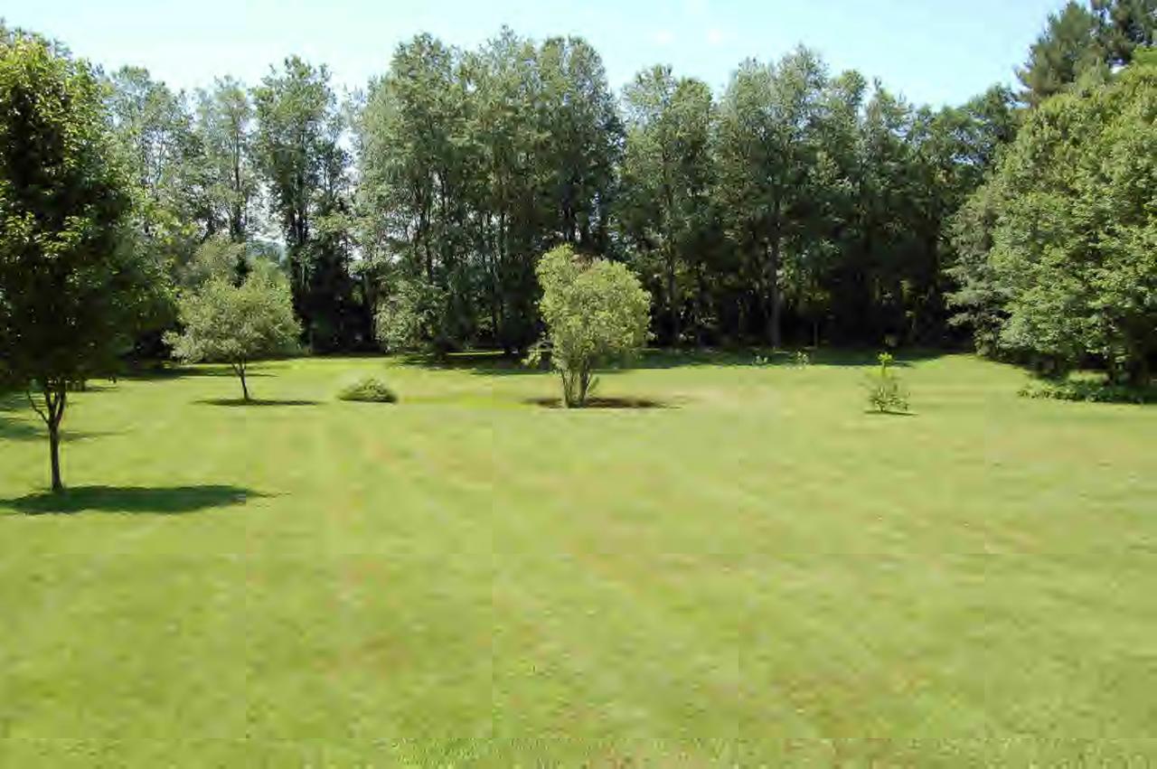 114 Salisbury Road Sheffield, MA 01257 - Photo 3 of 8 a backyard of a house