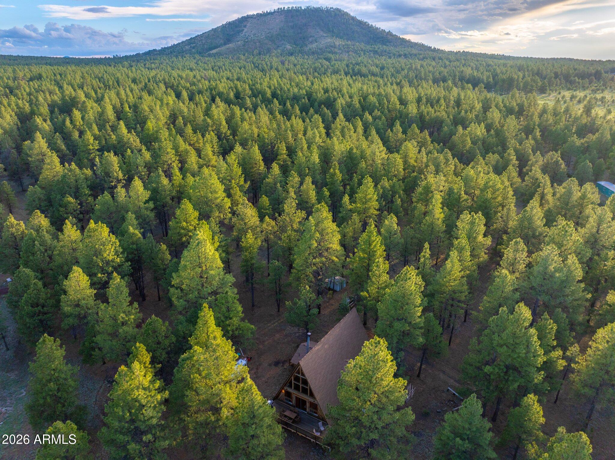 10434 Little Red Road Parks, AZ 86018 - Photo 32 of 35 a view of a lush green forest with a house