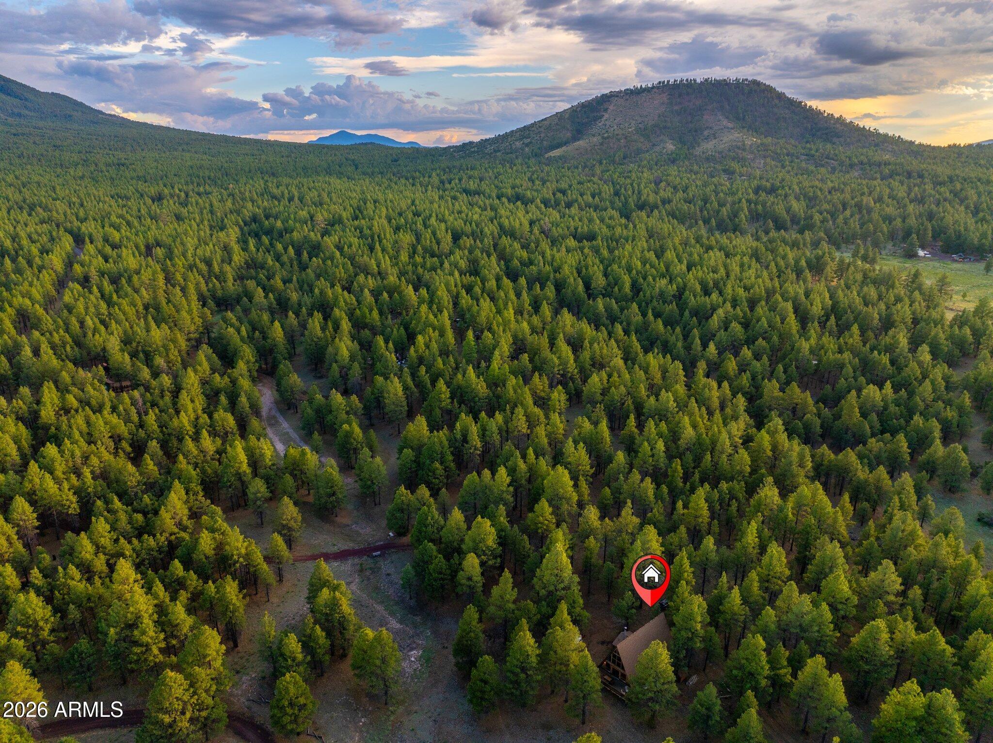 10434 Little Red Road Parks, AZ 86018 - Photo 33 of 35 a view of a field with a tree