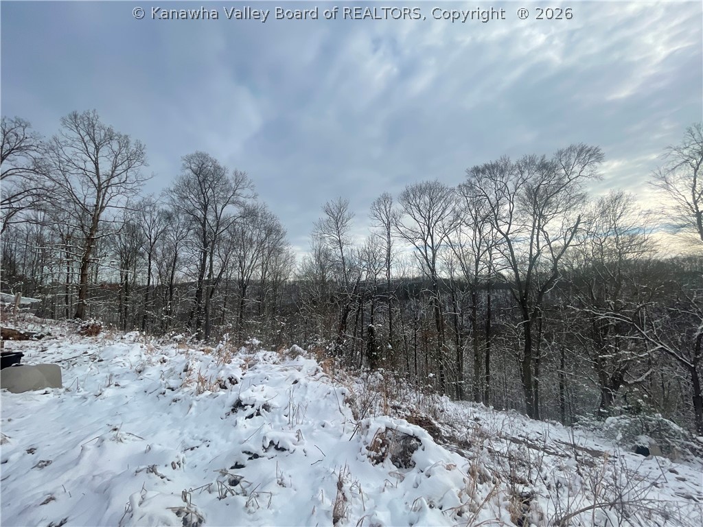 0 Grouse Ridge Sumerco, WV 25567 - Photo 7 of 17 Gallery Image 7
