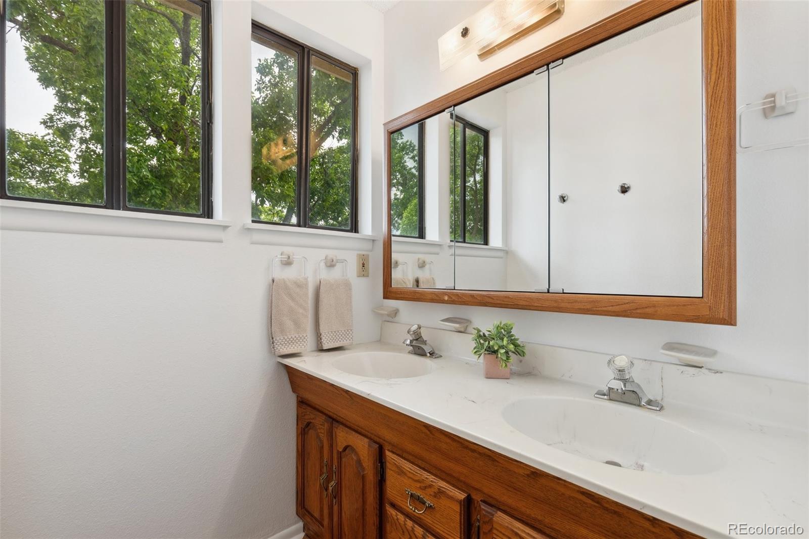 4139 Morley Circle Colorado Springs, CO 80916 - Photo 24 of 46