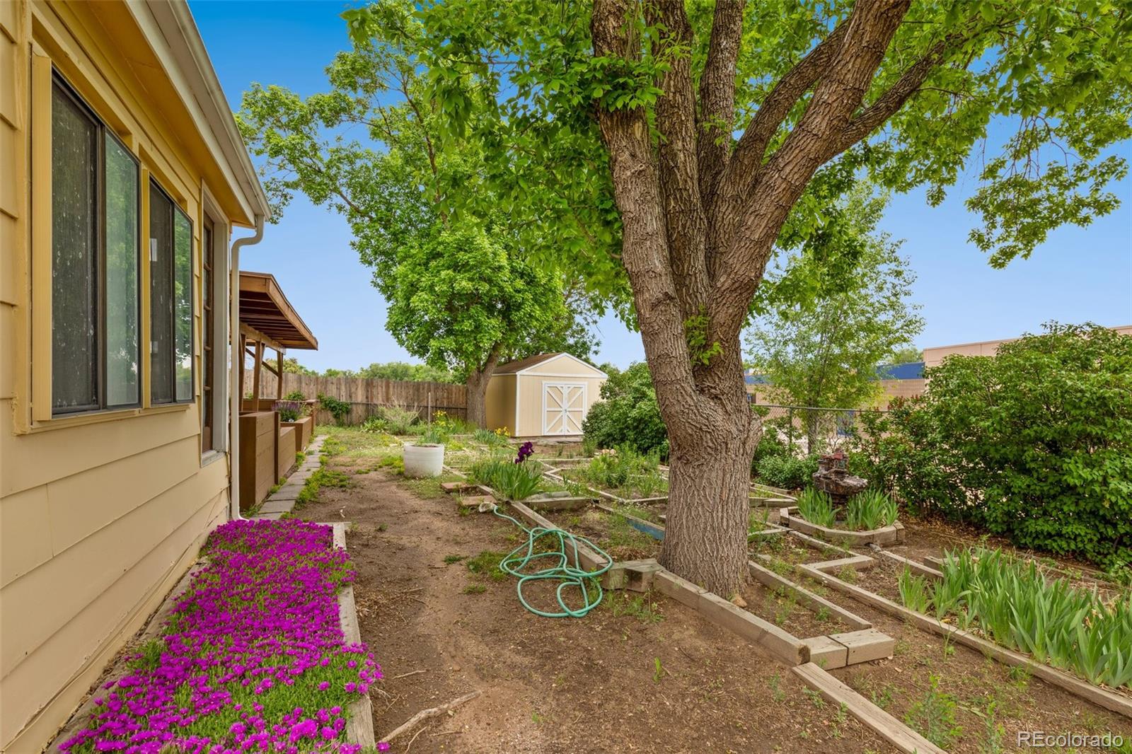 4139 Morley Circle Colorado Springs, CO 80916 - Photo 6 of 46