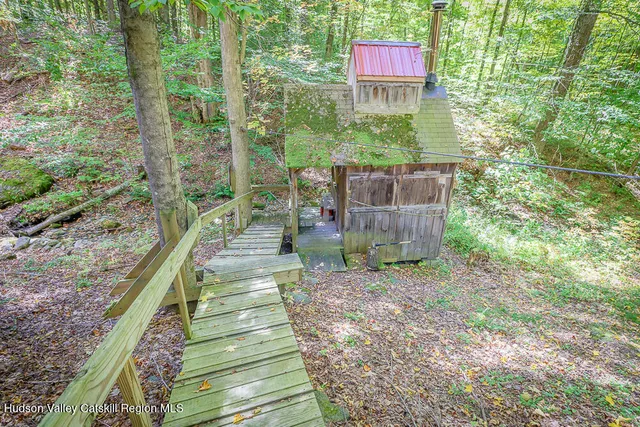 a close up of a plant in a garden