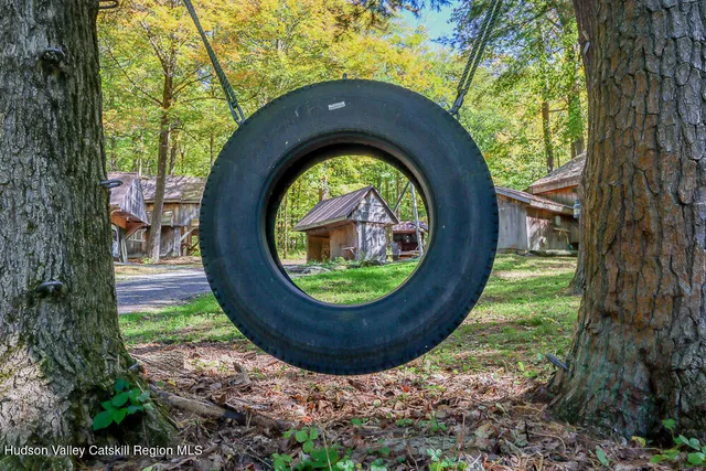 a view of a lush green forest