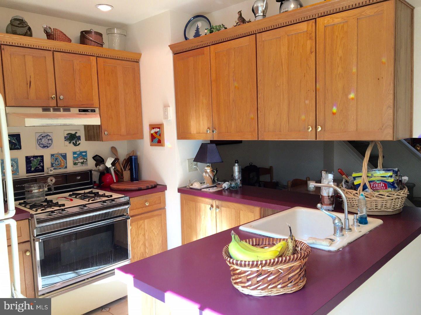 234 Reed Street Philadelphia, PA 19147 - Photo 8 of 25 Kitchen