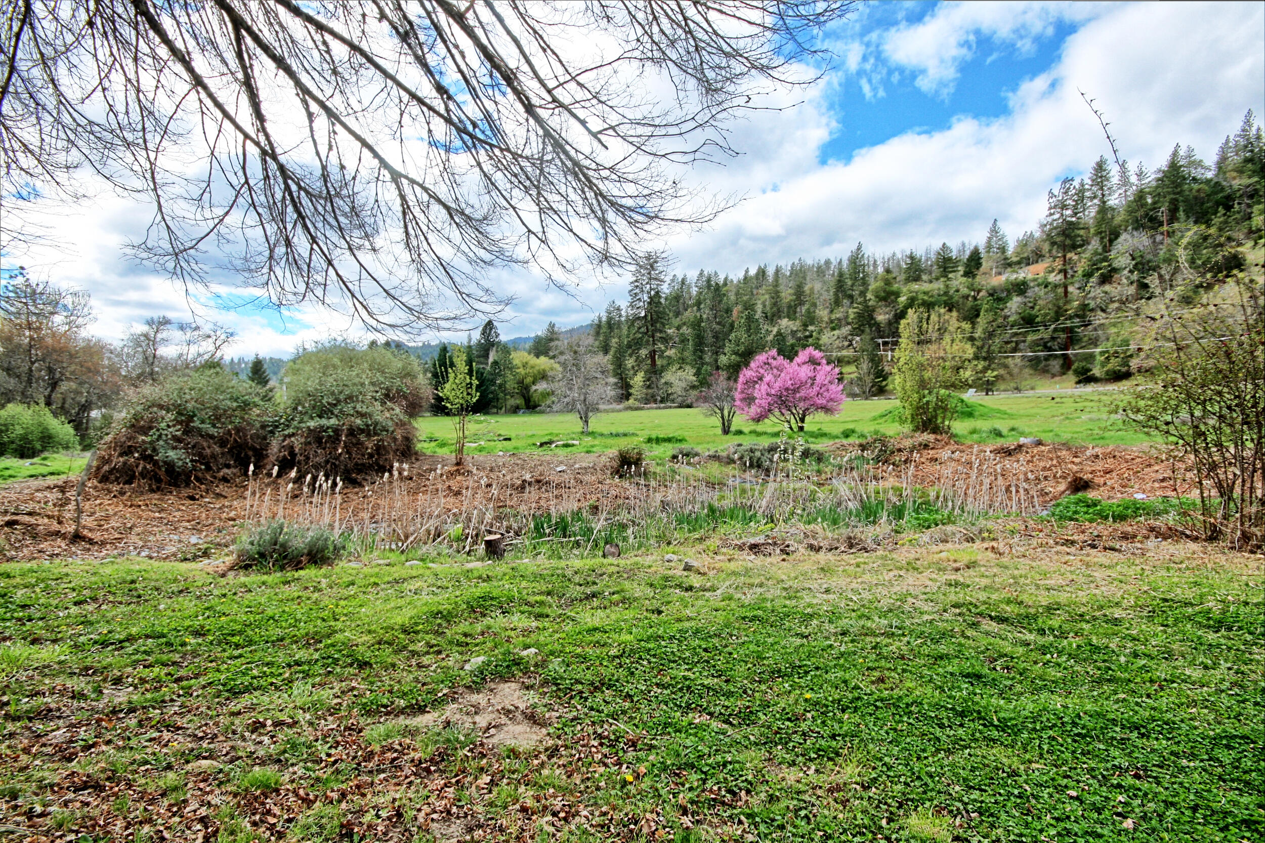 7255 Upper Applegate Road Jacksonville, OR 97530 - Photo 45 of 50 property line on other side of pond