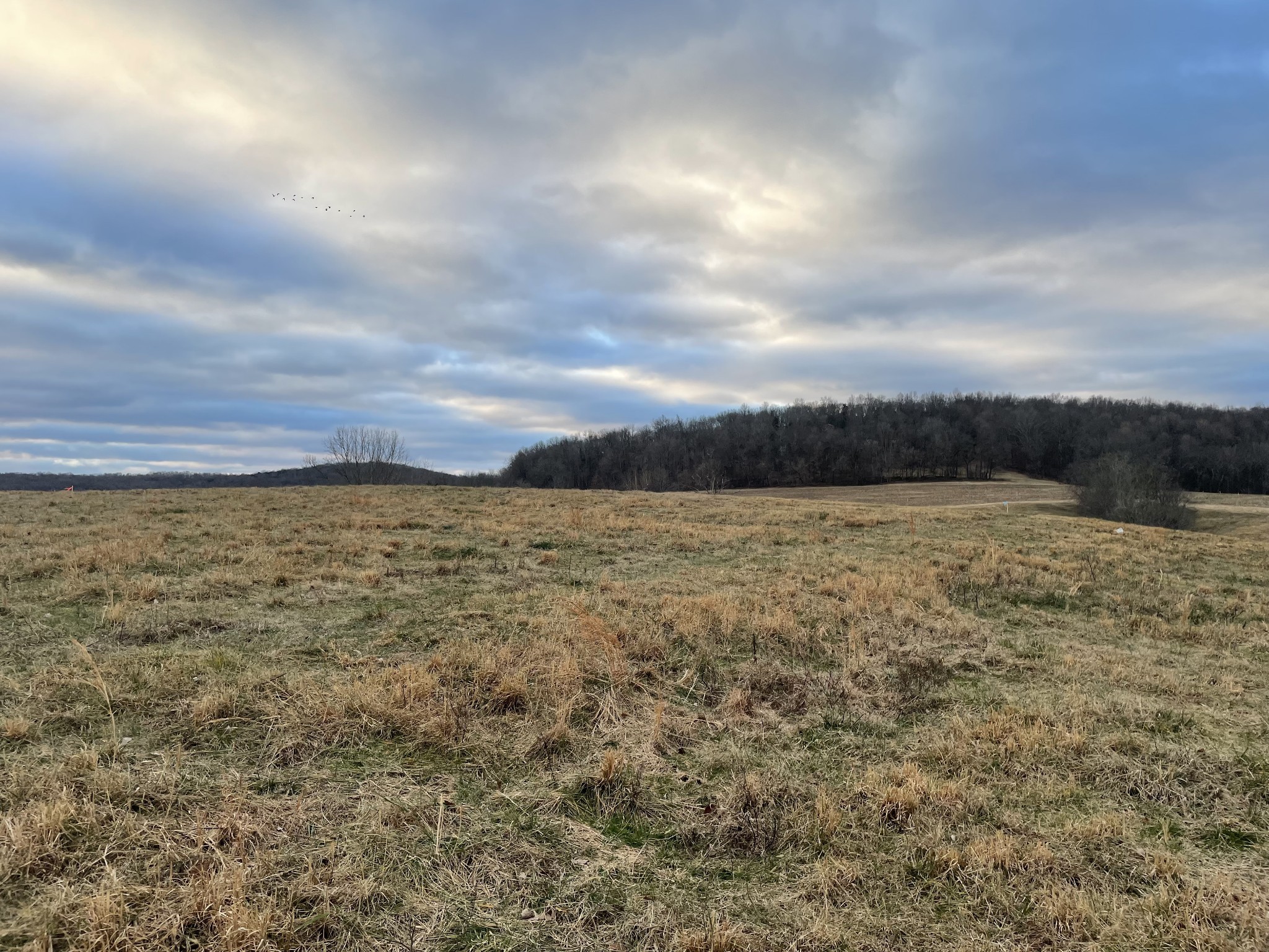 2 Cedar Bluff Road Lebanon, TN 37087 - Photo 1 of 10