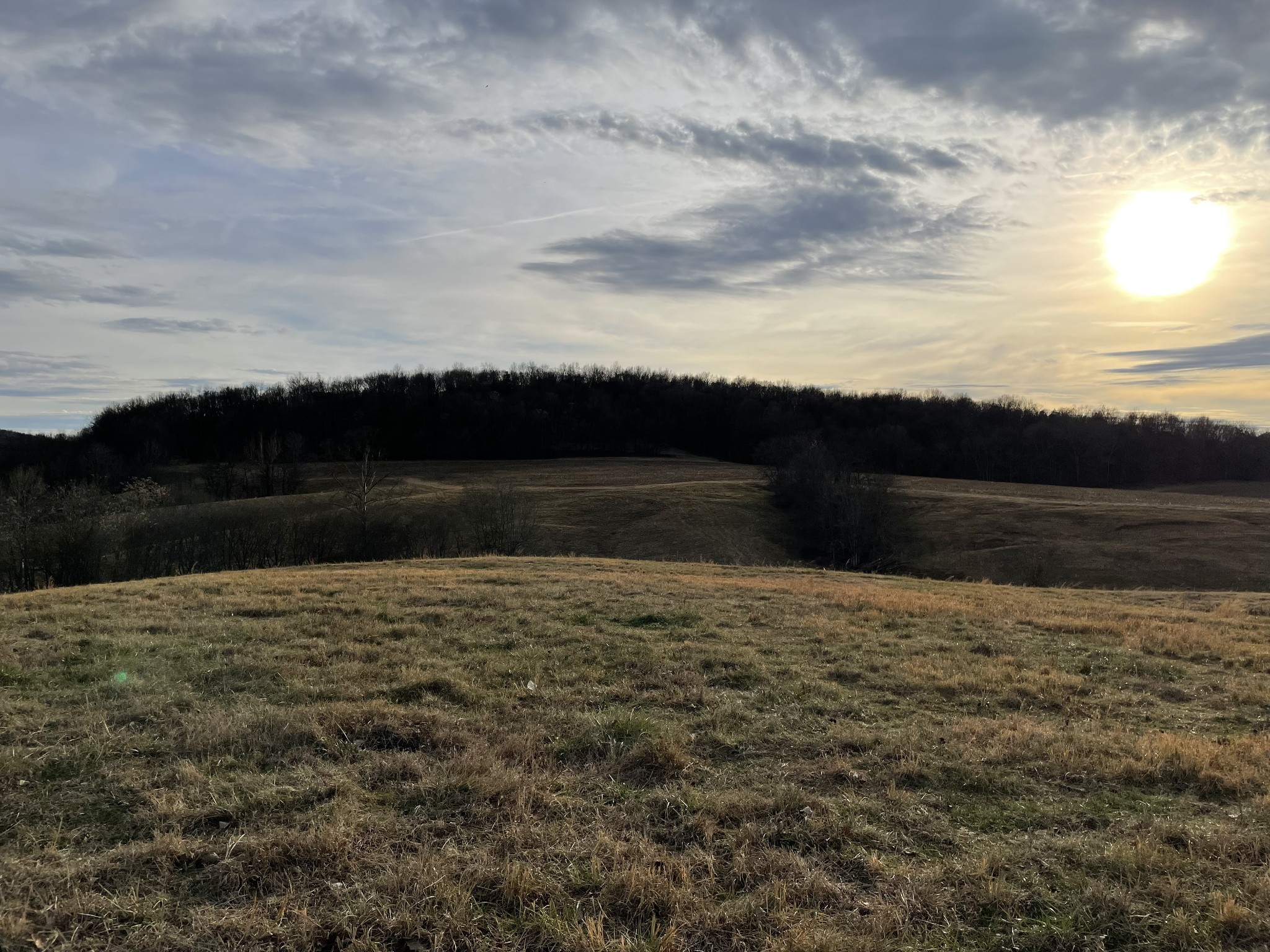 2 Cedar Bluff Road Lebanon, TN 37087 - Photo 2 of 10 a view of outdoor space and yard