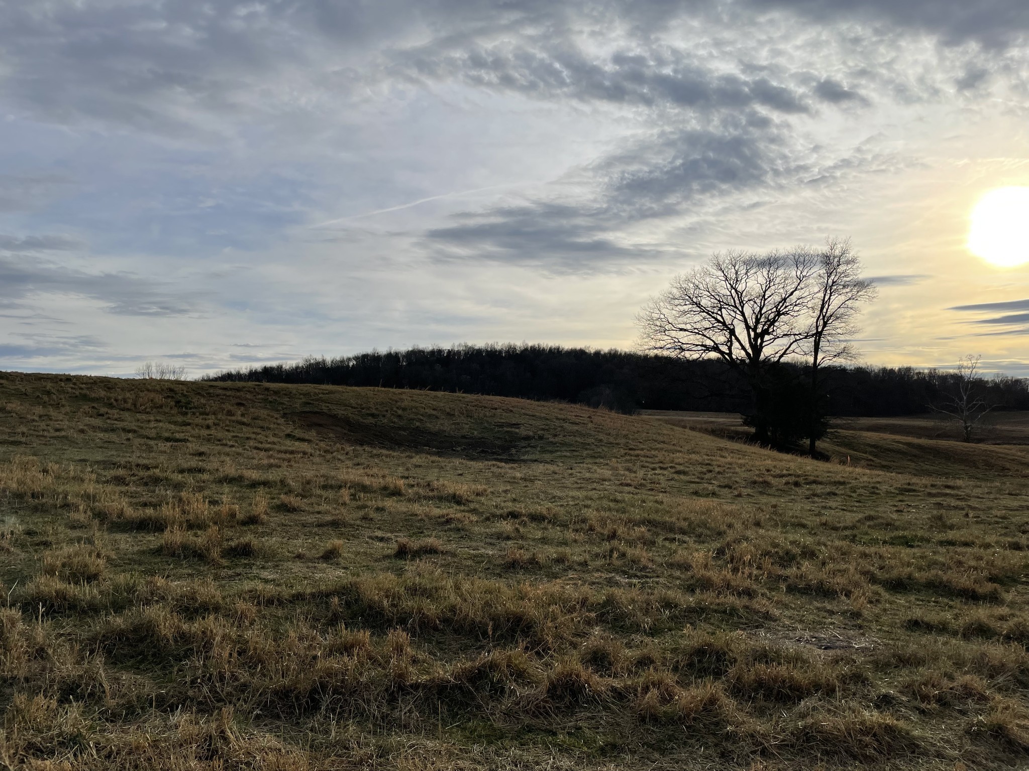 2 Cedar Bluff Road Lebanon, TN 37087 - Photo 3 of 10 a view of outside space