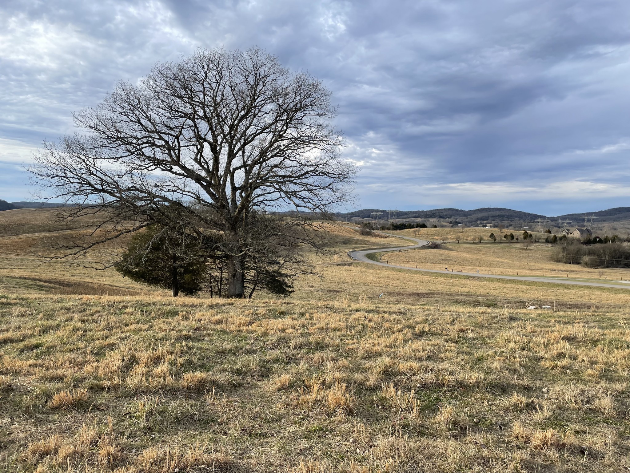 2 Cedar Bluff Road Lebanon, TN 37087 - Photo 6 of 10 a view of an ocean beach