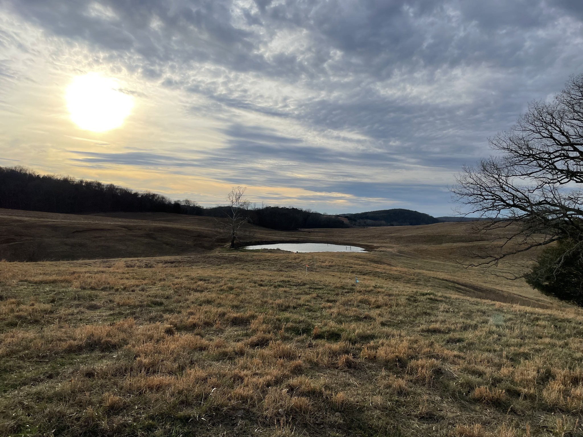2 Cedar Bluff Road Lebanon, TN 37087 - Photo 9 of 10 a view of an ocean