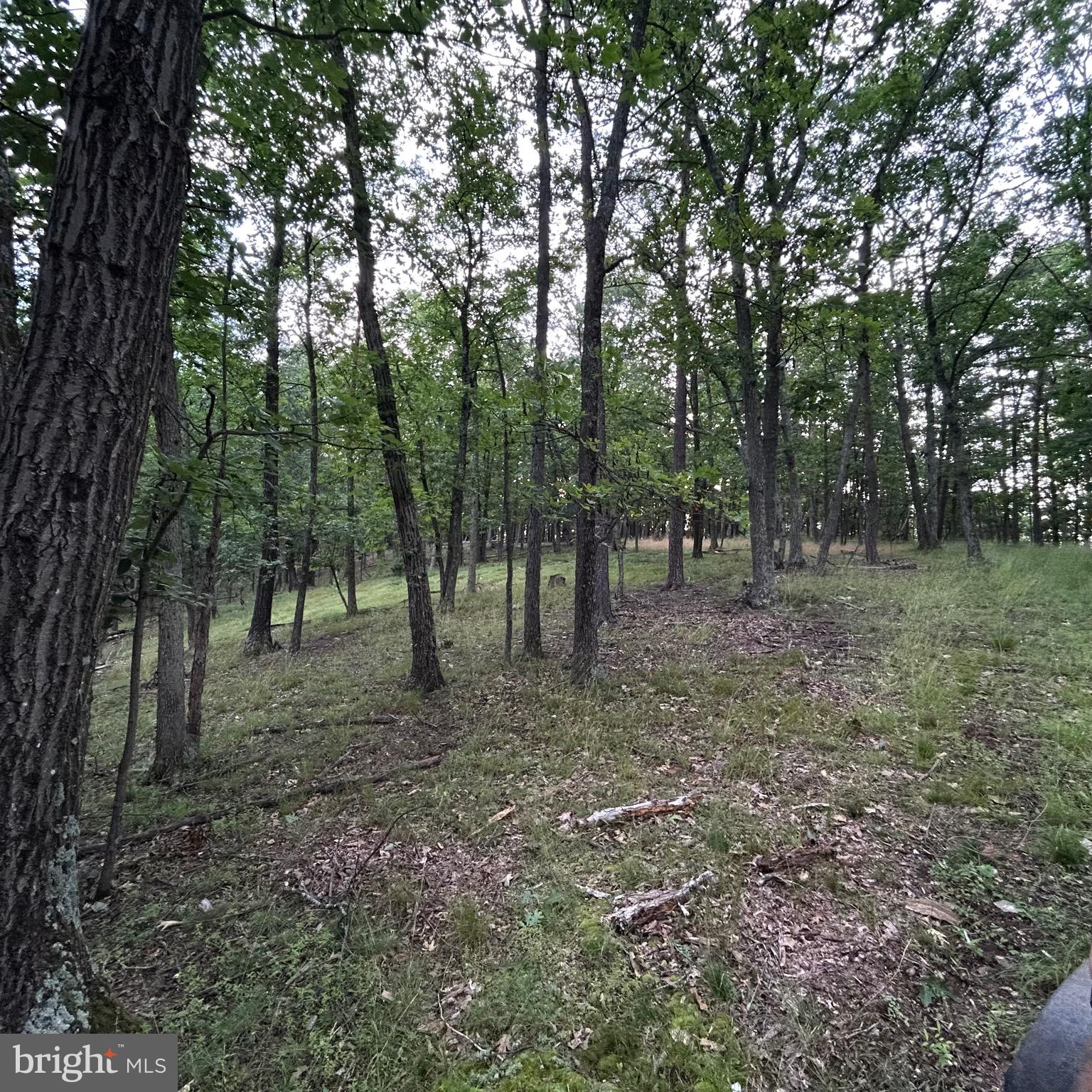 0 Headsville Road Keyser, WV 26726 - Photo 25 of 46