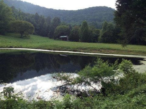 9999 Radford Hollow Road Berea, KY 40403 - Photo 4 of 17 Photo 4